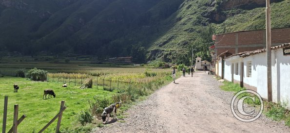View from Calle Patacalle and Calle Cusco (2)