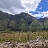 Pisac
