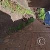 passageway