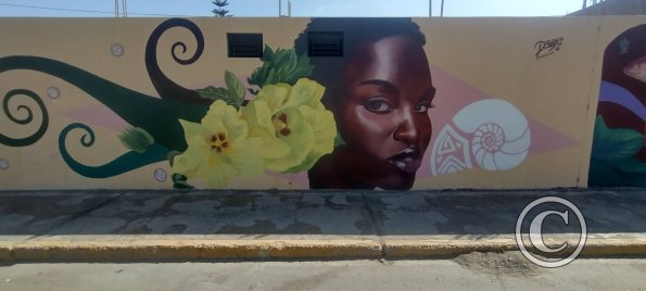 Av. Francisco Bolognesi y Calle Buena Vista (2)