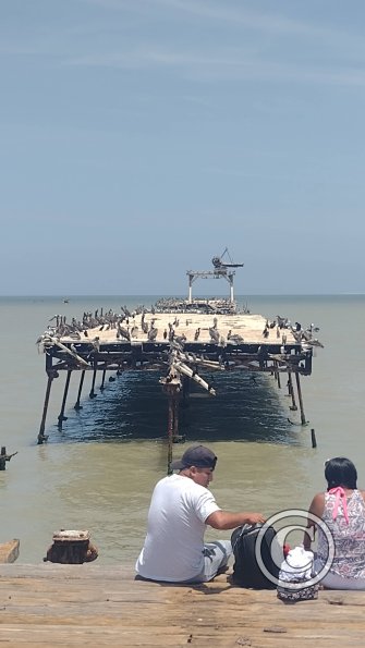 Muelle de Pisco