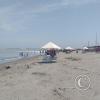 beach (8)