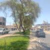 Av. Don Bosco y Av. Guillermo Gullman