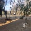 Parque Abelardo Quiñones at Calle Las Dallas y Jiron Las Amapolas
