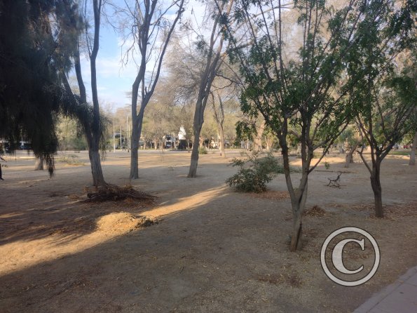 Parque Abelardo Quiñones at Calle Las Dallas y Jiron Las Amapolas