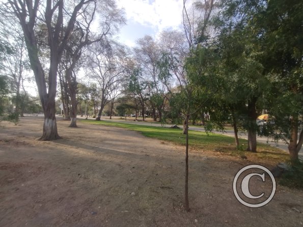 Parque Abelardo Quiñones y Calle Capulies