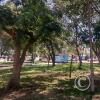 Parque Los Geranios at Los Cedros and Gardenias and Ceibos (2)