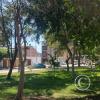 Parque Los Geranios at Los Cedros and Gardenias and Ceibos (4)