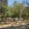 Parque San Juan Pablo II (6)