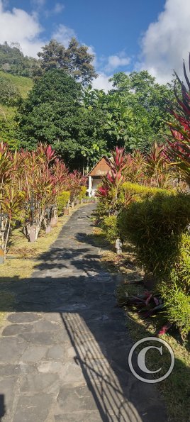 IMG_20250704_084101785_HDR