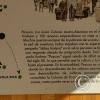 IMG_20250704_084513794_HDR