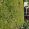 IMG_20250704_084621996_HDR