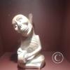 Museum Huaca Rajada - Sipan (27)