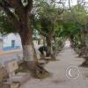 Jiron San Martin y Jiron Huascar (3)