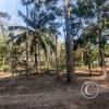 Parque Natural-Zoologico (11)