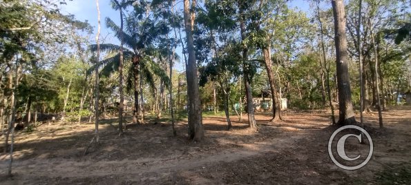 Parque Natural-Zoologico (11)
