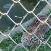 Parque Natural-Zoologico (12)