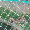 Parque Natural-Zoologico (13)