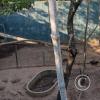 Parque Natural-Zoologico (14)