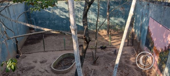 Parque Natural-Zoologico (14)