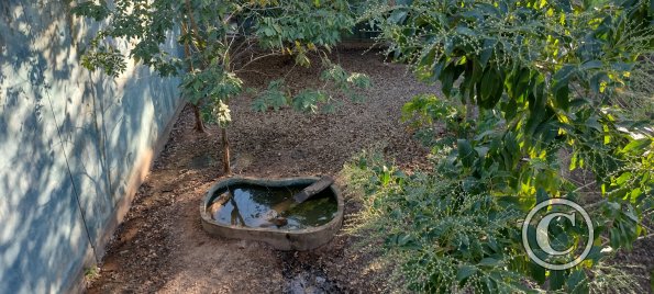 Parque Natural-Zoologico (21)