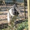 Parque Natural-Zoologico (22)