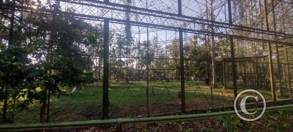 Parque Natural-Zoologico (23)
