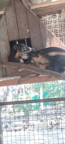 Parque Natural-Zoologico (24)