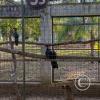 Parque Natural-Zoologico (28)