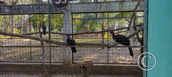 Parque Natural-Zoologico (28)