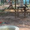 Parque Natural-Zoologico (29)