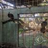 Parque Natural-Zoologico (31)
