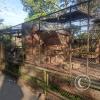 Parque Natural-Zoologico (33)