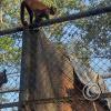 Parque Natural-Zoologico (34)