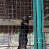 Parque Natural-Zoologico (36)