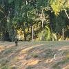 Parque Natural-Zoologico (38)