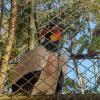 Parque Natural-Zoologico (5)