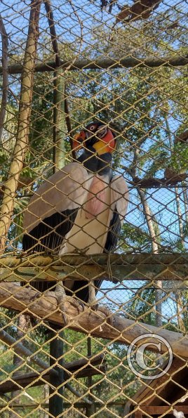 Parque Natural-Zoologico (5)