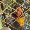 Parque Natural-Zoologico (7)