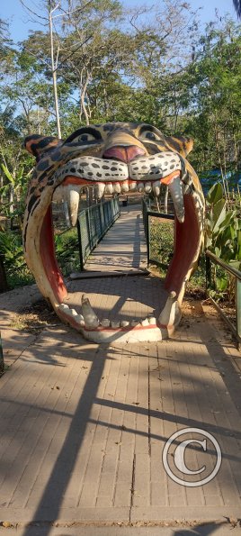 Parque Natural-Zoologico (9)