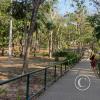 Parque Natural-Zoologico