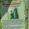 Parque la Lupuna (15)