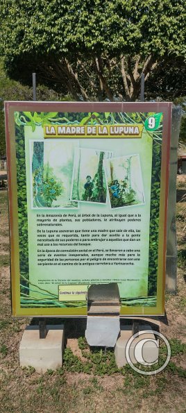 Parque la Lupuna (16)
