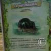 Parque la Lupuna (18)
