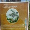 Parque la Lupuna (22)