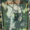 Parque la Lupuna (24)