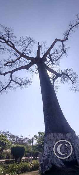 Parque la Lupuna (29)