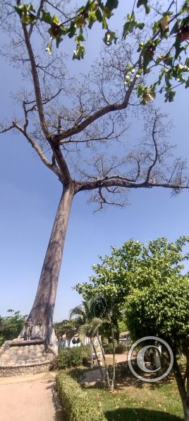 Parque la Lupuna (31)