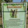 Parque la Lupuna (34)