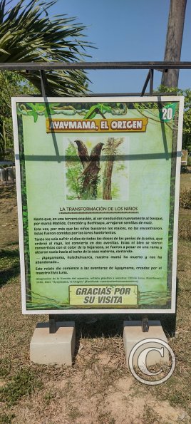 Parque la Lupuna (34)